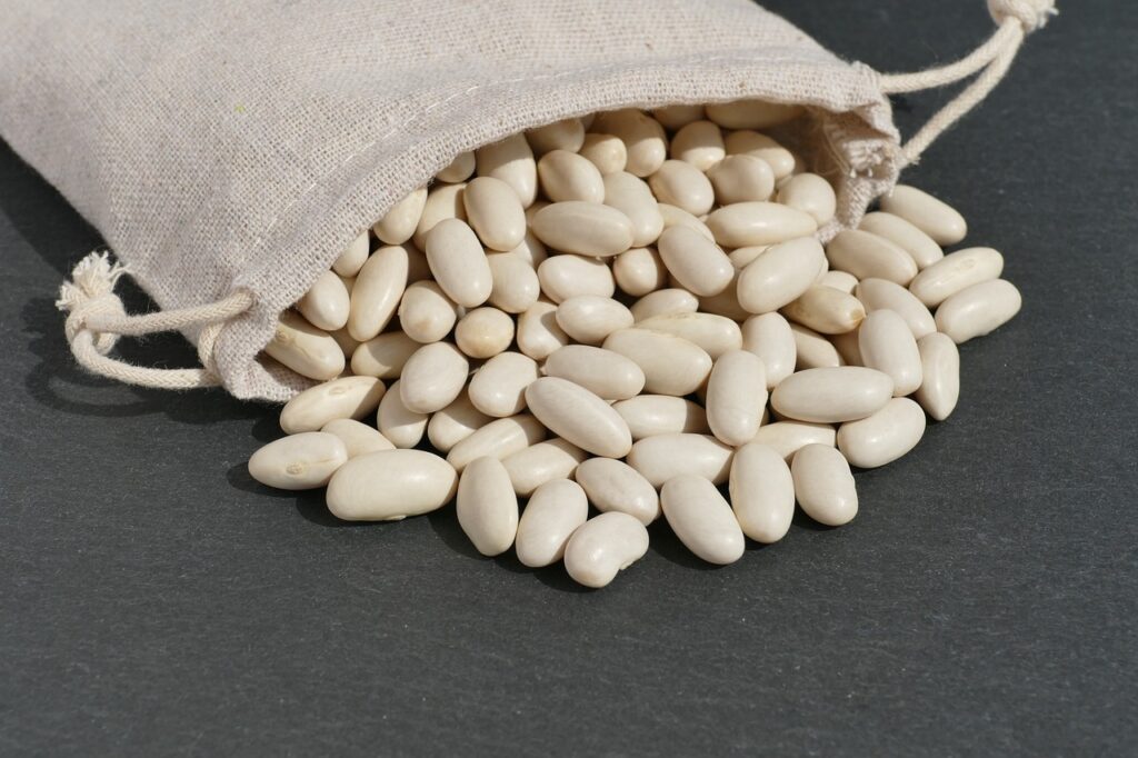 white beans, cannellini beans, bean seeds-6571302.jpg