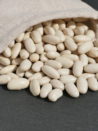 white beans, cannellini beans, bean seeds-6571302.jpg